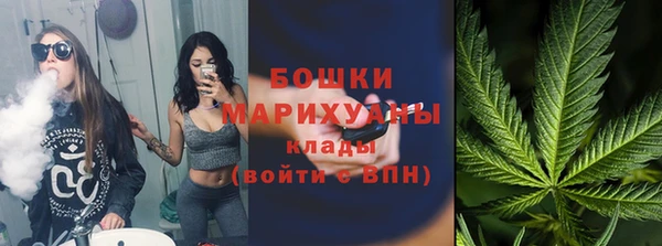 гидра Верея