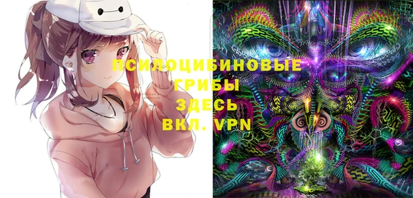 гидра Верея