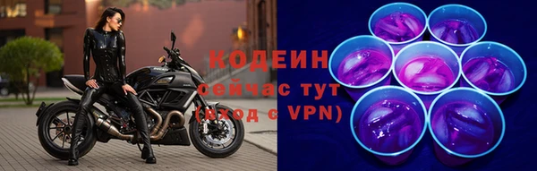 СК Верхний Тагил