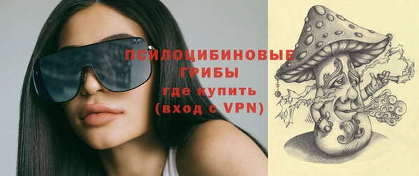 СК Верхний Тагил