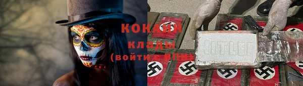 гидра Верея