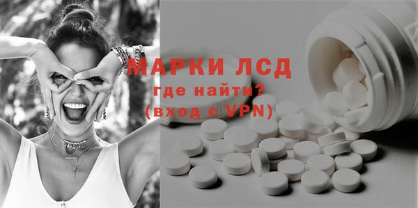 гидра Верея