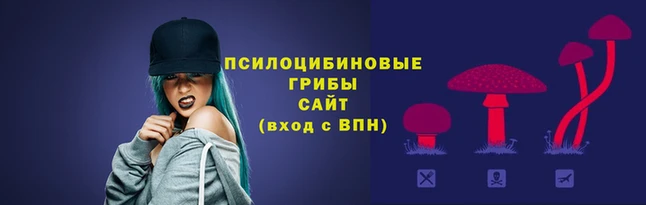 СК Верхний Тагил