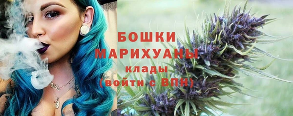 гидра Верея
