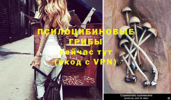 ALPHA PVP Верхнеуральск